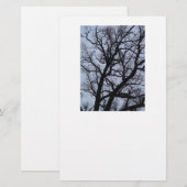 Papeterie Arbre vampire (Devant / Derrière)