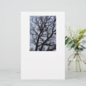 Papeterie Arbre vampire (Debout devant)