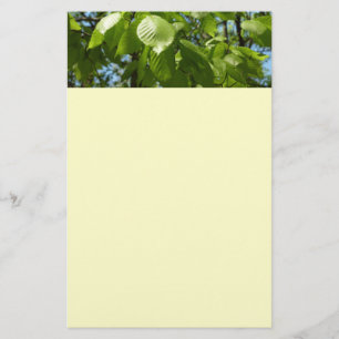 Papeterie Arbre vert Feuille à bouleau printanier