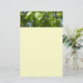 Papeterie Arbre vert Feuille à bouleau printanier (Debout devant)