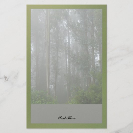 Papeterie Arbres brumeux (Devant)