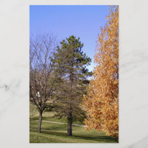 Papeterie Arbres d'automne