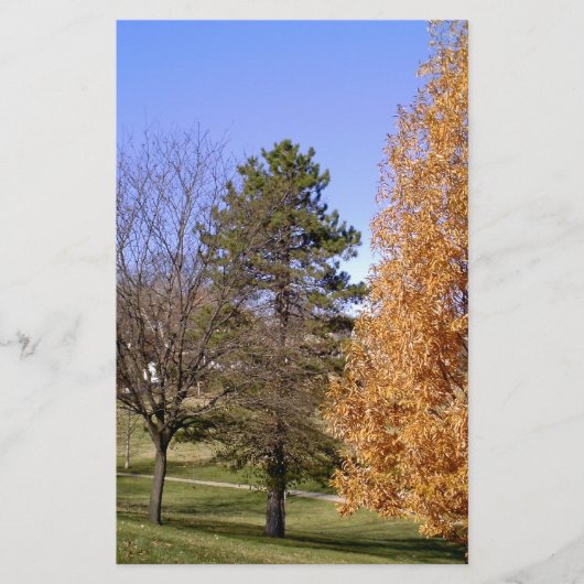 Papeterie Arbres d'automne (Devant)