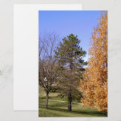 Papeterie Arbres d'automne (Devant / Derrière)