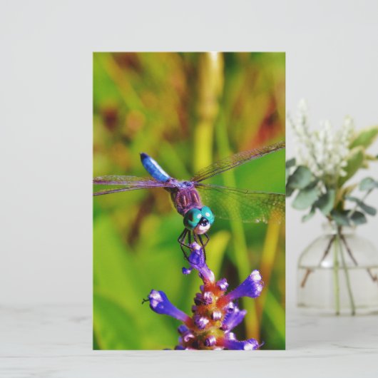 Papeterie Arc en ciel libellule et fleur (Debout devant)