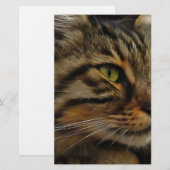Papeterie Aslan Le Long Haired Tabby Cat (Devant / Derrière)