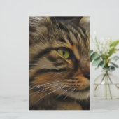 Papeterie Aslan Le Long Haired Tabby Cat (Debout devant)