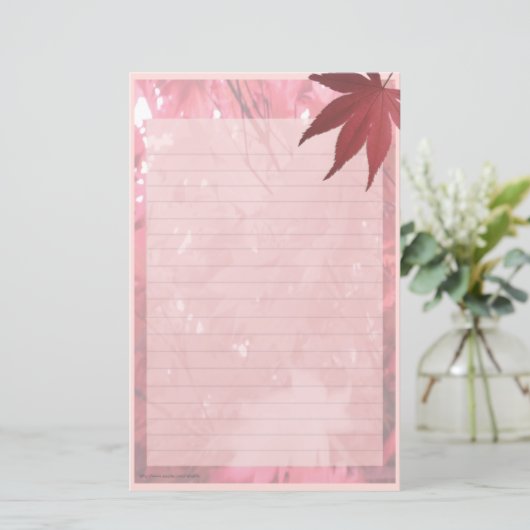 Papeterie Automne (Debout devant)