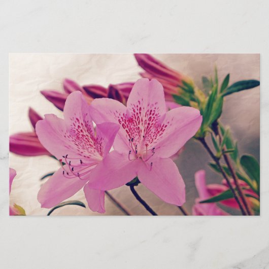 Papeterie Azaleas (Devant)