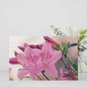 Papeterie Azaleas (Debout devant)