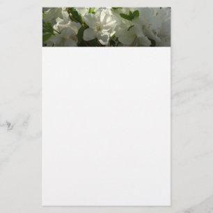 Papeterie Azalées Blancs Solaires Belles Fleurs De Printemps