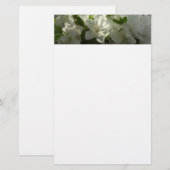 Papeterie Azalées Blancs Solaires Belles Fleurs De Printemps (Devant / Derrière)