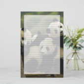 Papeterie Baby panda géante Ailuropoda melanoleuca) (Debout devant)