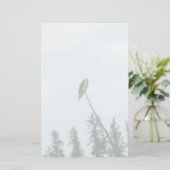 Papeterie Balbuzard pêcheur 9028 (Debout devant)