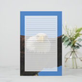 Papeterie Bald Eagle Flyby Up Close (Debout devant)