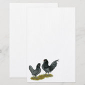 Papeterie Bantams (Devant / Derrière)
