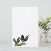 Papeterie Bantams (Debout devant)