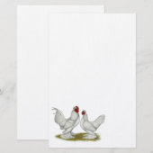 Papeterie Bantams birmans (Devant / Derrière)