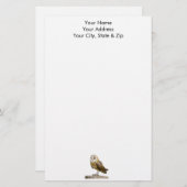 Papeterie Barn Owl (Devant / Derrière)