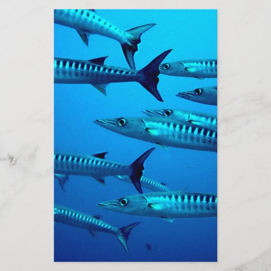 Papeterie barracuda plongée mer profonde océan eau tropicale (Devant)
