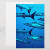Papeterie barracuda plongée mer profonde océan eau tropicale (Devant / Derrière)