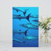 Papeterie barracuda plongée mer profonde océan eau tropicale (Debout devant)