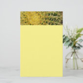 Papeterie Barrel Cactus Closeup Abstrait Nature Photographie (Debout devant)