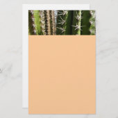 Papeterie Barrel Cactus II Désert Nature Photo (Devant / Derrière)