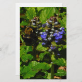 Papeterie Baume d'abeille pourpre et bourdon (Devant / Derrière)