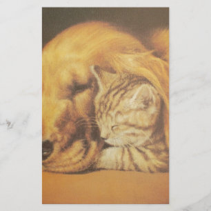 Papeterie Beau art Extraordinaire de chats et de chats de ch