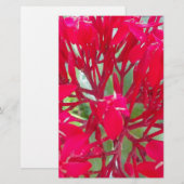 Papeterie Beau Kaleidoscope de Milkweed rouge coloré (Devant / Derrière)