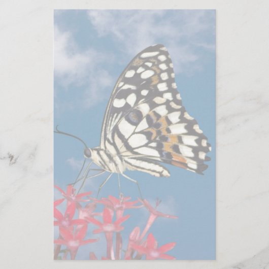 Papeterie Beau Papillon (Devant)