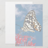 Papeterie Beau Papillon (Devant / Derrière)