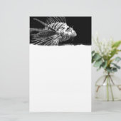 Papeterie Beau poisson noir et blanc (Debout devant)