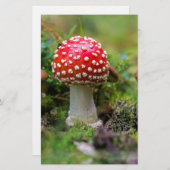 Papeterie Beauté d'automne (Devant / Derrière)