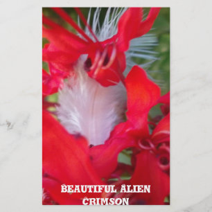 Papeterie Beauté délicate : Fleur rouge avec plumes blanches