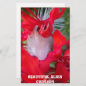 Papeterie Beauté délicate : Fleur rouge avec plumes blanches (Devant / Derrière)