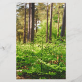 Papeterie Belle forêt de fougères (Dos)