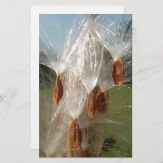 Papeterie Belle Magie Milkweed : Une conception de vol Skywa (Devant / Derrière)