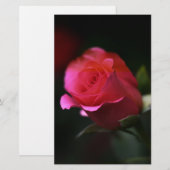 Papeterie Belle Rose Rouge (Devant / Derrière)