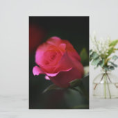 Papeterie Belle Rose Rouge (Debout devant)