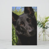 Papeterie berger allemand noir