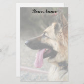 Papeterie Berger allemand stationnaire (Devant / Derrière)