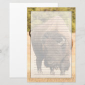 Papeterie Bison (Devant / Derrière)