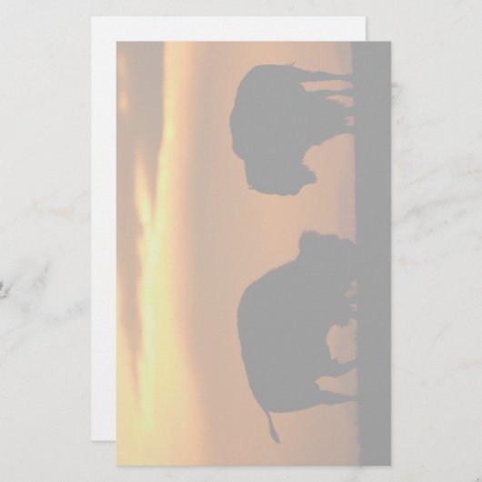 Papeterie bison (Devant / Derrière)