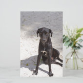 Papeterie Black dog avec evil eye (Debout devant)