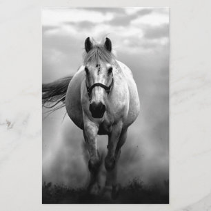 Papeterie Black White Runse Horse Freedom