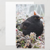Papeterie Blackbird d'hiver (Devant / Derrière)