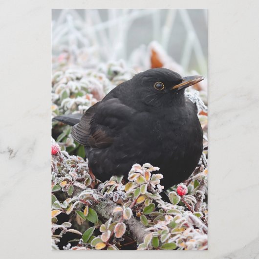 Papeterie Blackbird d'hiver (Devant)