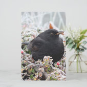 Papeterie Blackbird d'hiver (Debout devant)